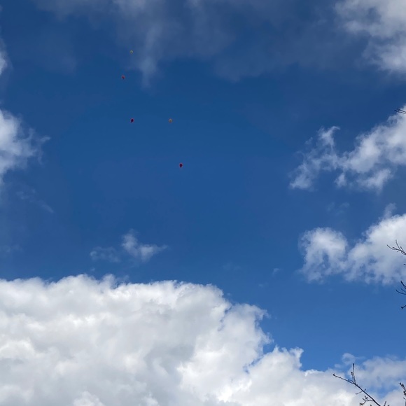 Meet your Posher, Madi - Picture 1 of 1